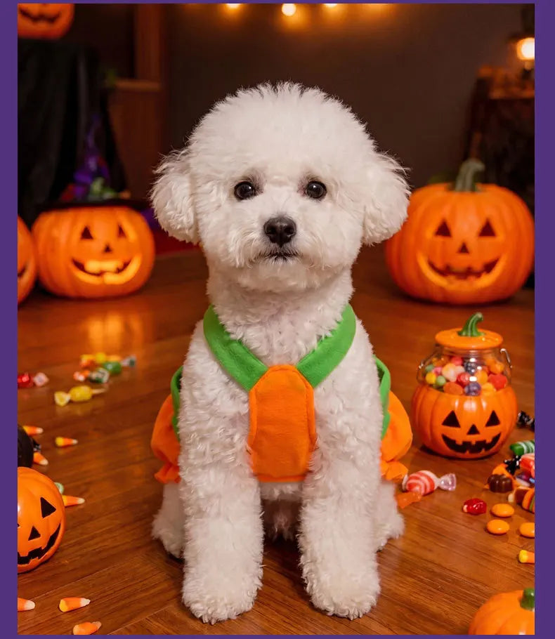 Pumpkin Dress Costume for Small Dogs & Cats – Washable Halloween Outfit, XS–XXL