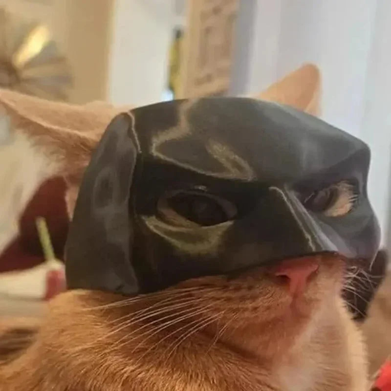 Cat Avenger Mask Bat Halloween 3D Printed Cosplay Hat Cat  Funny Toys Photos Props Pet Accessories