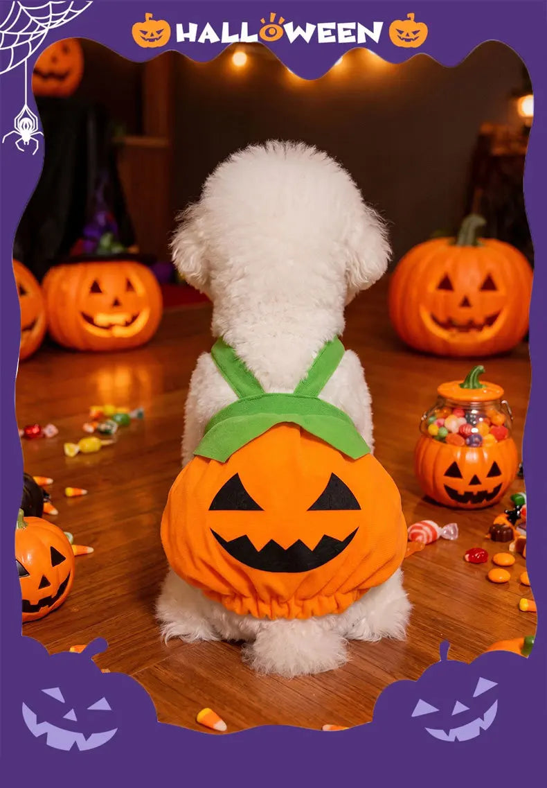 Pumpkin Dress Costume for Small Dogs & Cats – Washable Halloween Outfit, XS–XXL