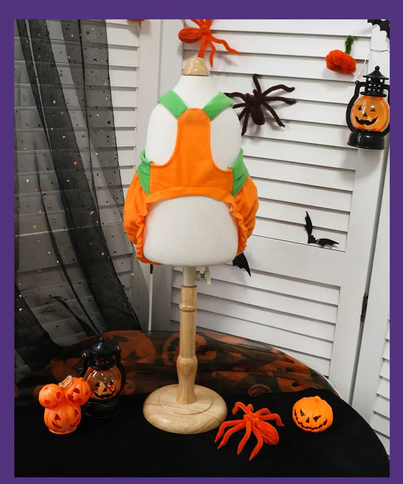Pumpkin Dress Costume for Small Dogs & Cats – Washable Halloween Outfit, XS–XXL