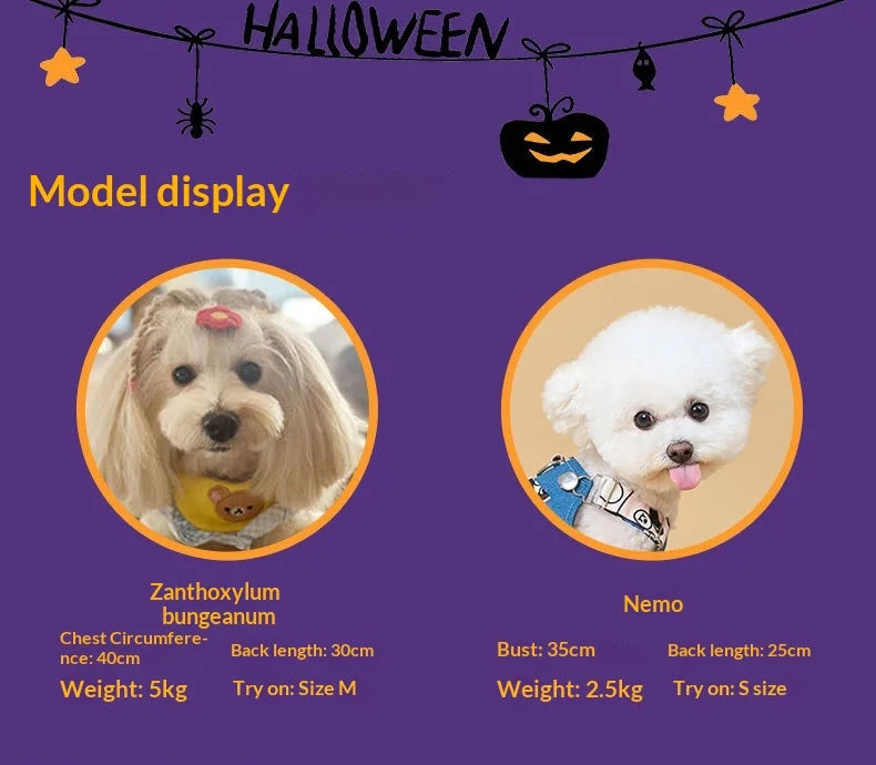 Pumpkin Dress Costume for Small Dogs & Cats – Washable Halloween Outfit, XS–XXL