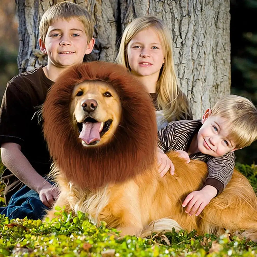Halloween Accessories Pet Lion Head Wig Cosplay Dog Head Set Everyday Party Pet Supplies Creative Funny Dog Hair